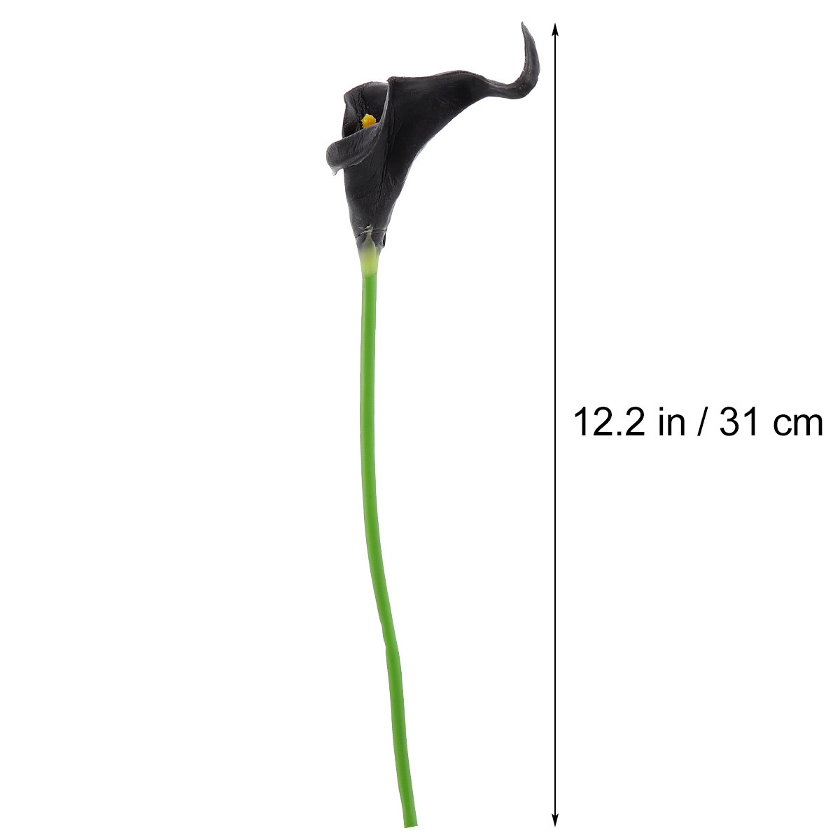 10 buah Bunga Lili Calla Buata - Home Office Interior Design ulasan dan harga
