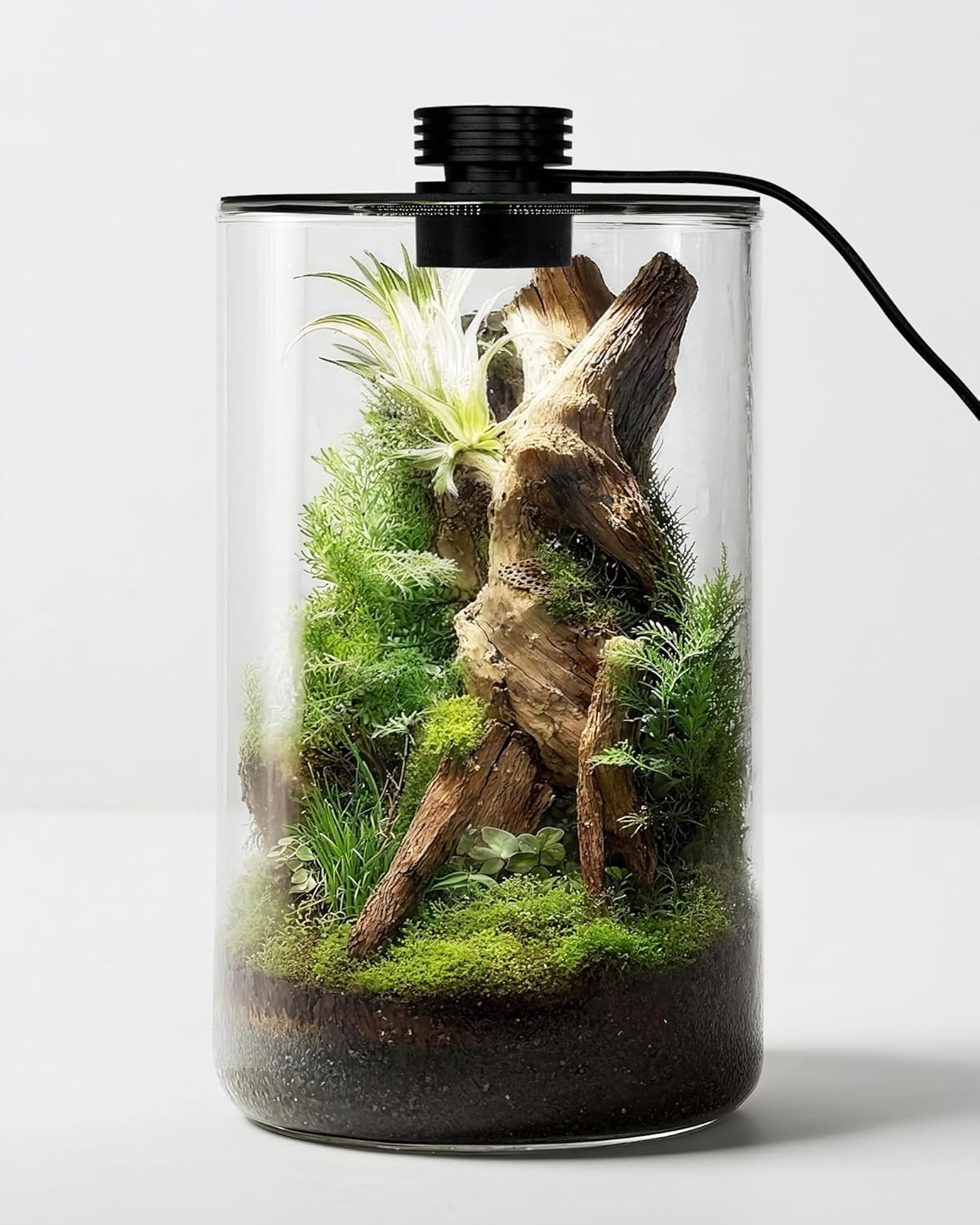 Terarium Kaca Dalam Ruangan de - Home Office Lamp ulasan dan harga