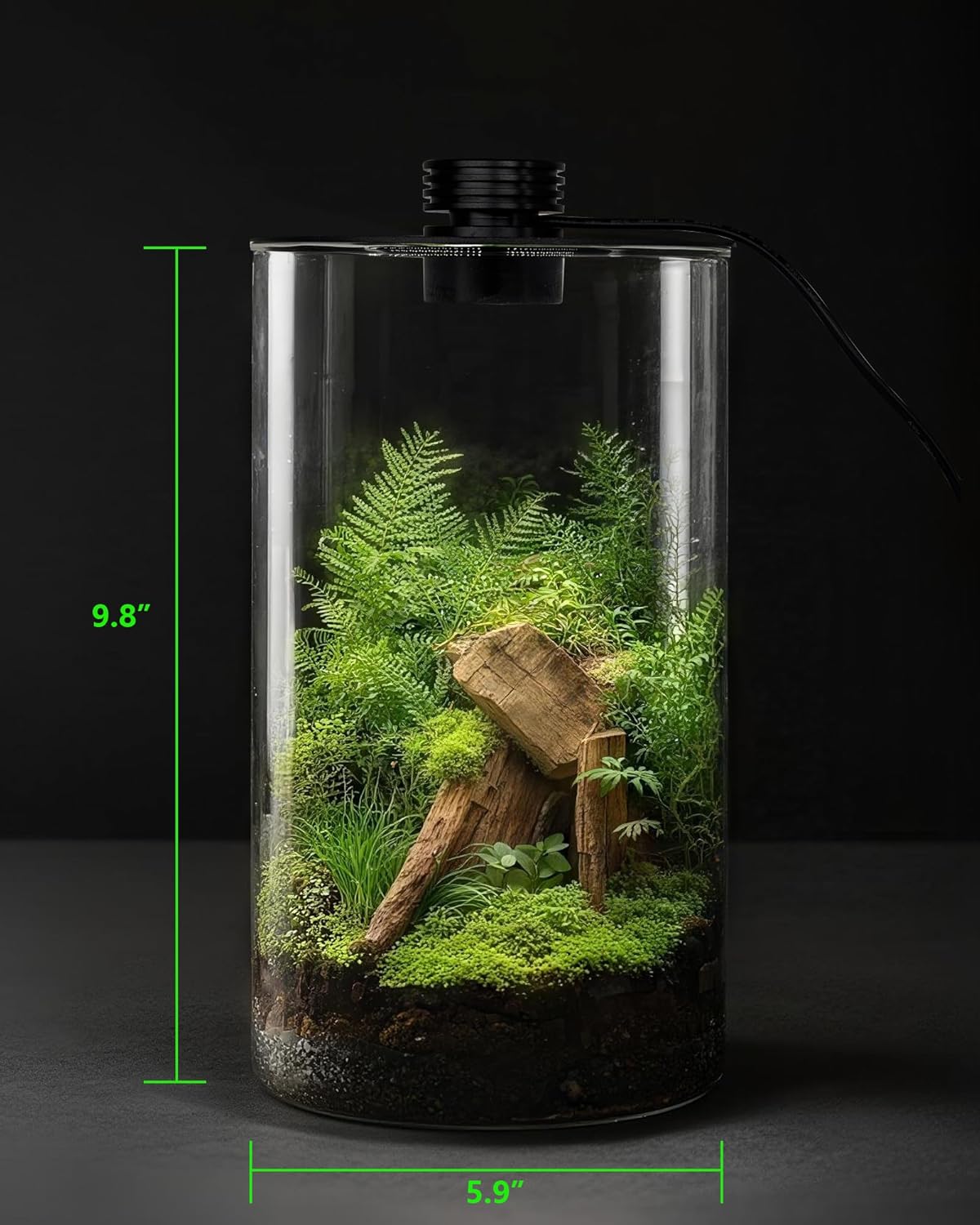 Terarium Kaca Dalam Ruangan de - Home Office Lamp ulasan dan harga
