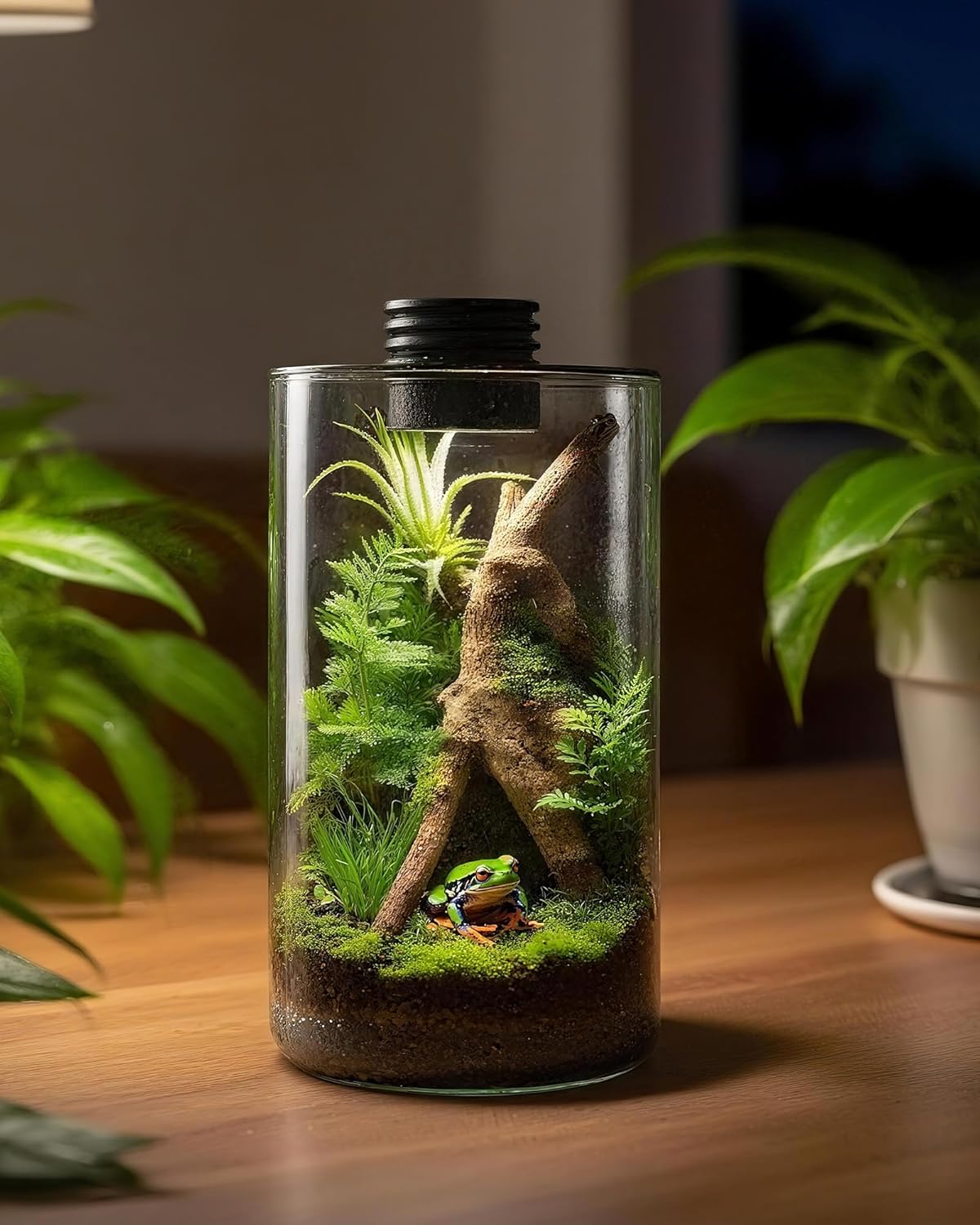 Terarium Kaca Dalam Ruangan de - Home Office Lamp ulasan dan harga