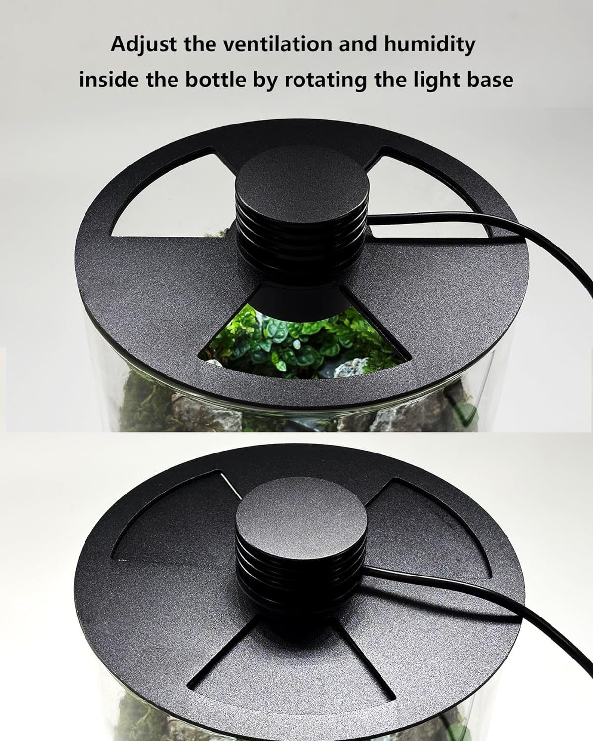 Terarium Kaca Dalam Ruangan de - Home Office Lamp ulasan dan harga
